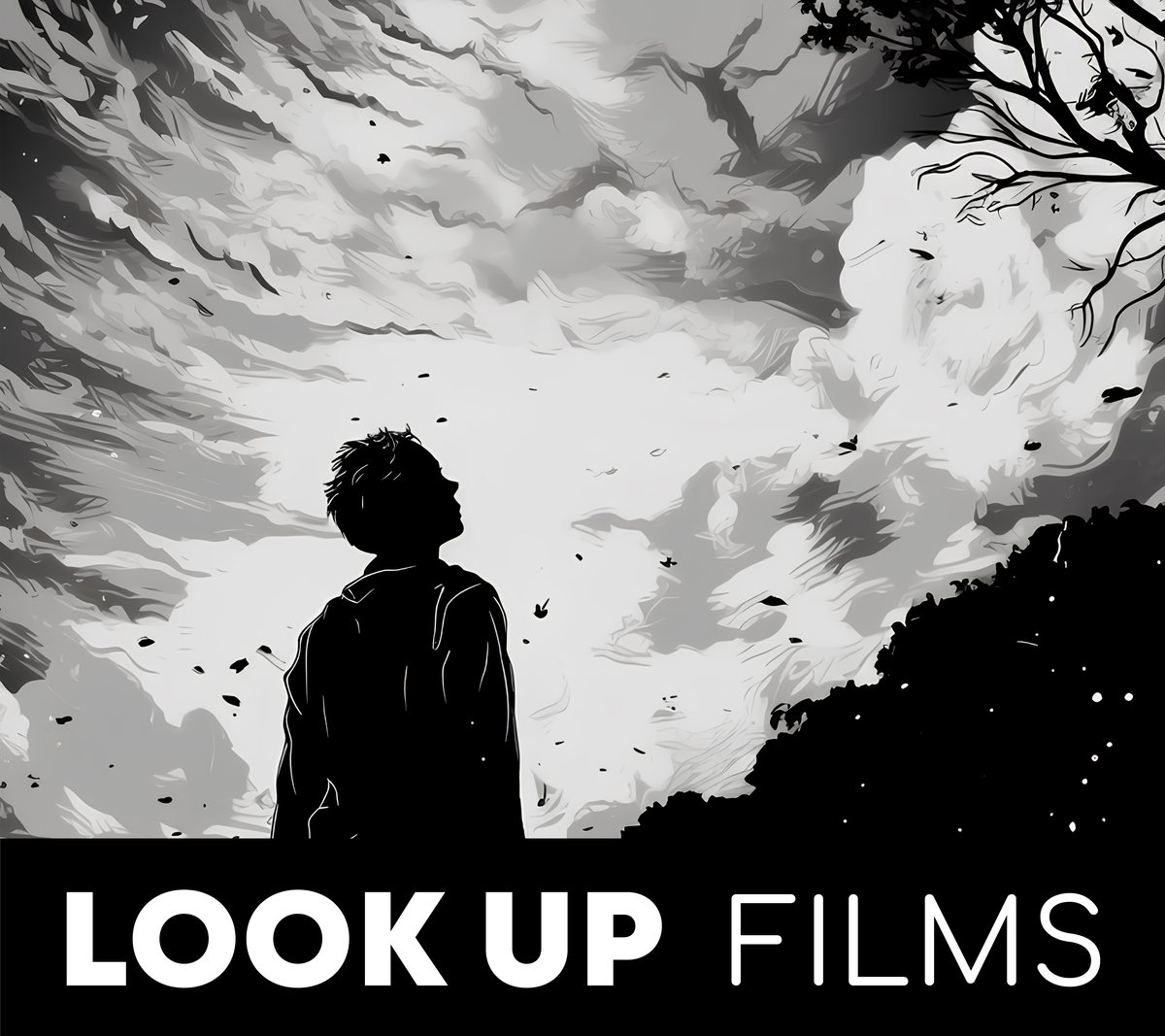 Logo von Look Up Films: eine Person im Schattenriss, die in einen stürmischen Himmel schaut