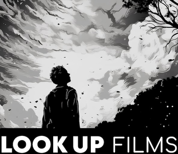 Look Up Films